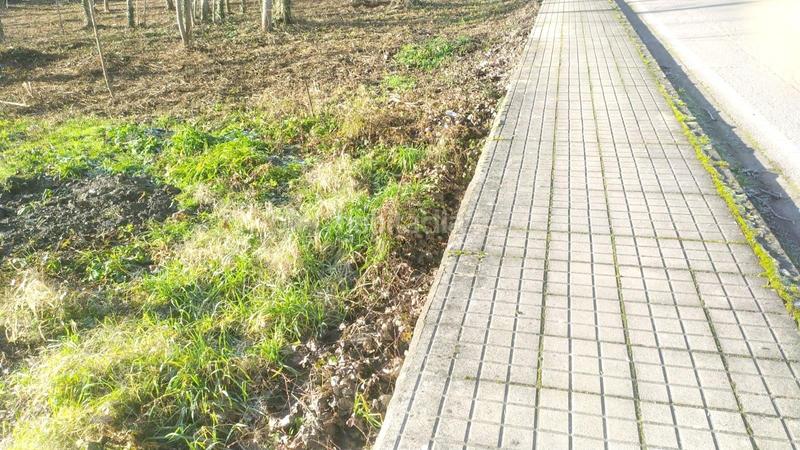 Foto ebbde9aa-33d0-477d-b1c4-40ecb89d6698. Wohngrundstück in Flores de Sil - La Placa Ponferrada