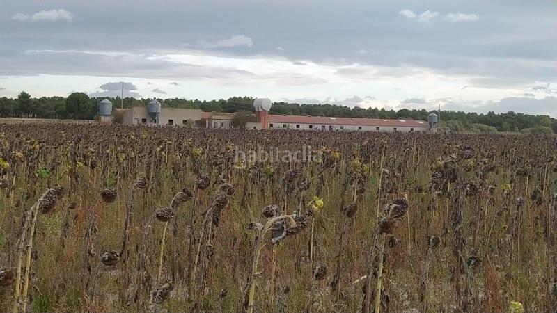 Foto 67fbdae2-60b5-4391-9b48-332c3cecd04d. Nave industrial naves en venta segovia ref.1908 en Fuentepelayo
