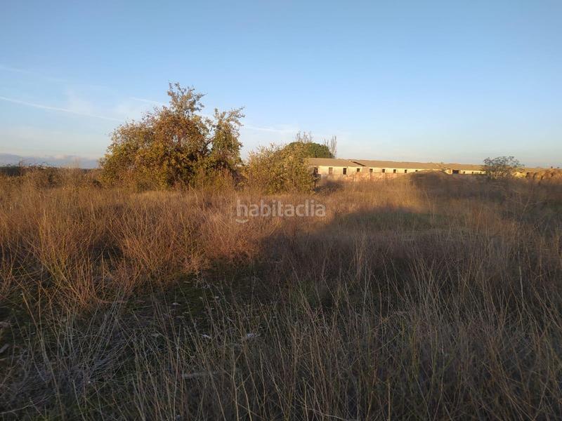 Foto 2f8188da-d59d-439e-a4b2-bbc19f10b153. Terreny residencial a Navalmanzano