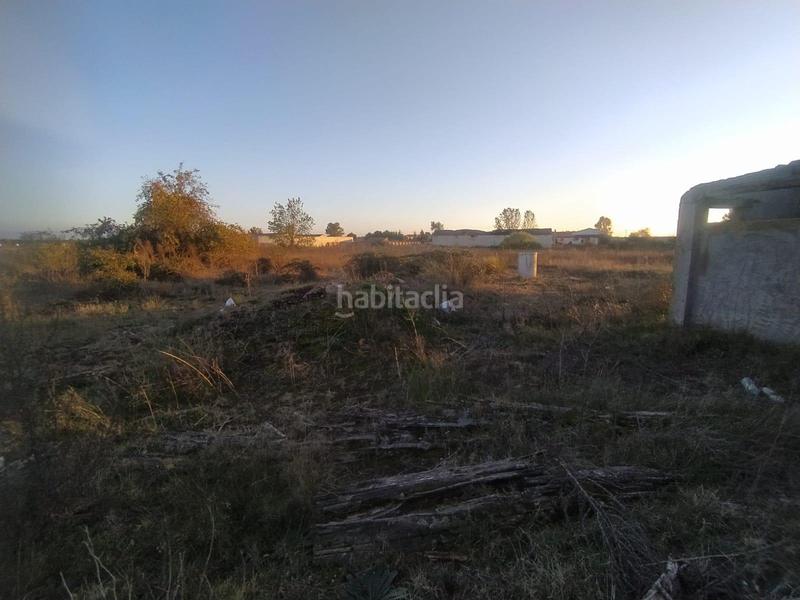 Foto 31cedd6e-94f2-4f53-8620-46a81d416b63. Terreny residencial a Navalmanzano