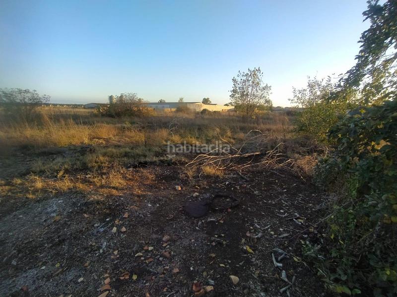 Foto d612d404-6529-4734-a6ed-d8ae718626a5. Terreny residencial a Navalmanzano