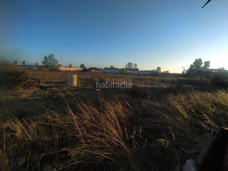 Foto e1e880d2-f27c-4a73-8a6b-43e5a7d3acfc. Terreny residencial a Navalmanzano