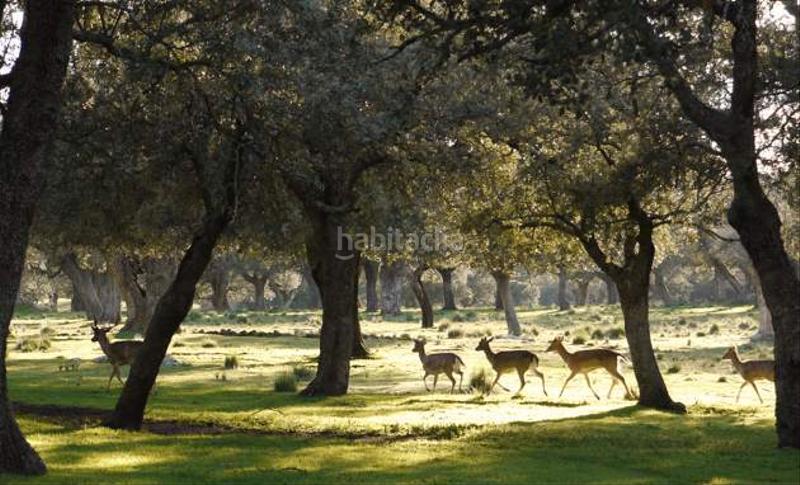 Foto 2c46f0eb-6724-4e0f-a24f-b67e207f1189. Chalet avec cheminée parking dans Navas de Riofrío