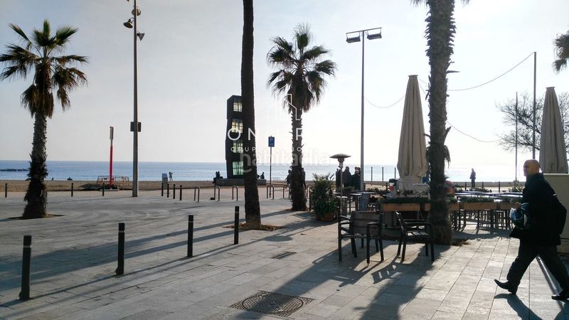 Foto 3a7a9bad-f211-4b79-b5a5-fbbbf72fe1bd. Pis a Barceloneta Barcelona