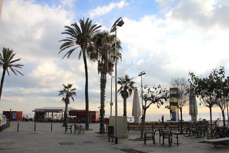 Foto f9d3b041-27f4-4667-bc3d-a70e93d5e468. Pis a Barceloneta Barcelona
