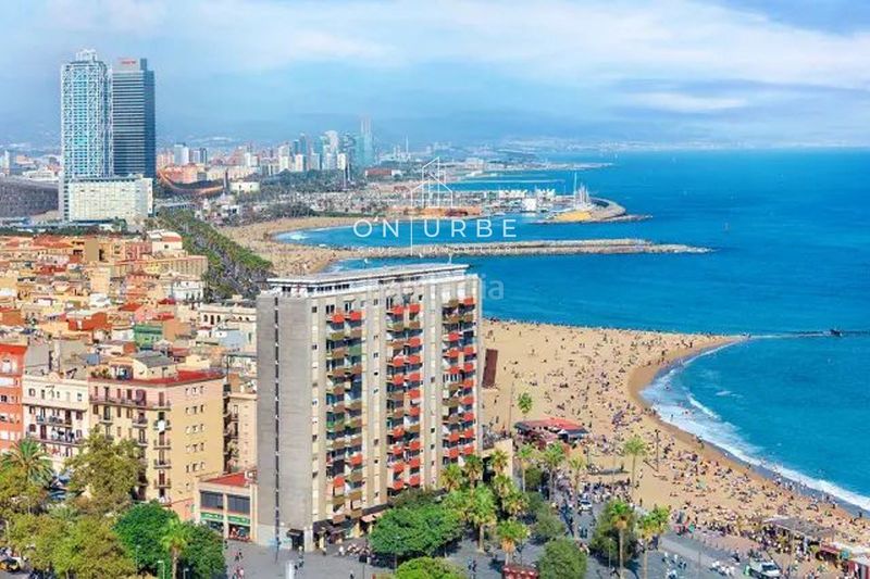 Foto f4326edd-7119-4115-a2d8-496d8ec20845. Pis a Barceloneta Barcelona