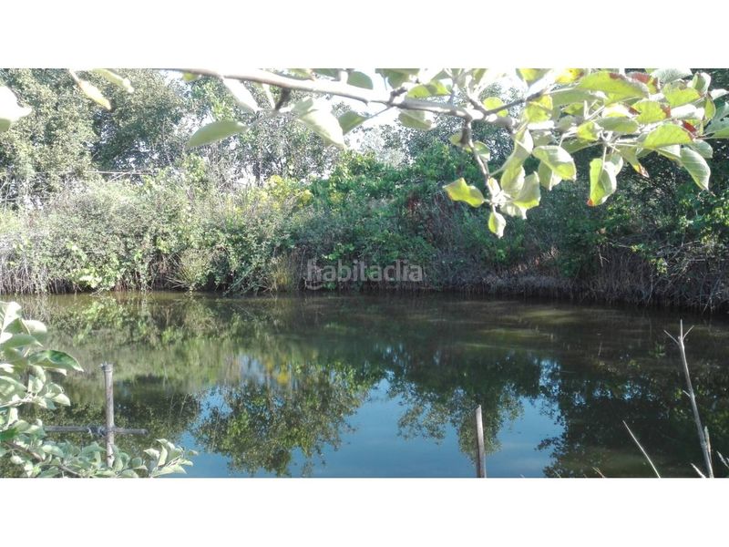 Foto ae69a0e9-1be3-4561-b343-340fc805c019. Country house in poligono 17 186 in Ciudad Rodrigo