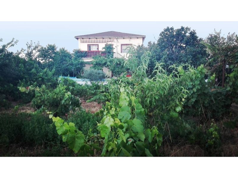 Foto b1874b70-2b9e-4d01-8195-8a043d0c35e6. Country house in poligono 17 186 in Ciudad Rodrigo
