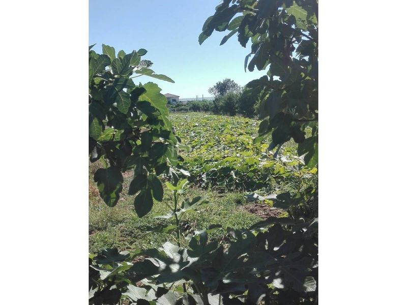 Foto ea84e0b1-3874-42fd-bbe0-7e702734353d. Country house in poligono 17 186 in Ciudad Rodrigo