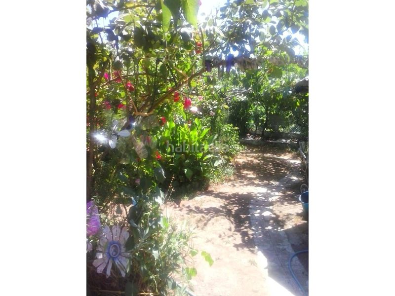 Foto eebd673c-0b78-4bd3-8061-2fb295d4942c. Country house in poligono 17 186 in Ciudad Rodrigo