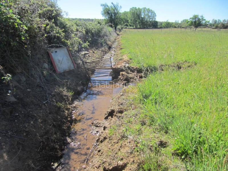 Foto 027a0cbe-4080-4f7a-b467-7f01fbc38d7d. Rural plot in Ciudad Rodrigo