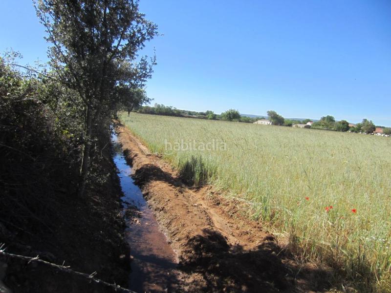 Foto 0f3e72bc-2a85-4a39-9018-eb1a1e554017. Rural plot in Ciudad Rodrigo