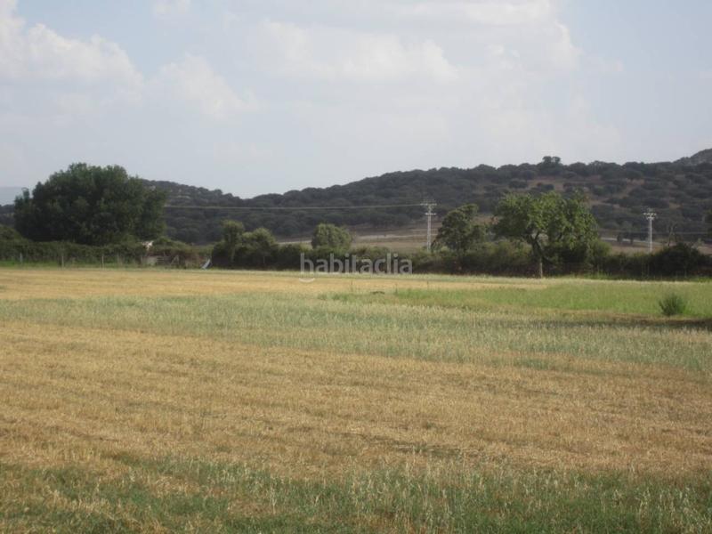 Foto 1088bf65-04a2-4d6b-b7c0-e8d1905d2afd. Rural plot in Ciudad Rodrigo