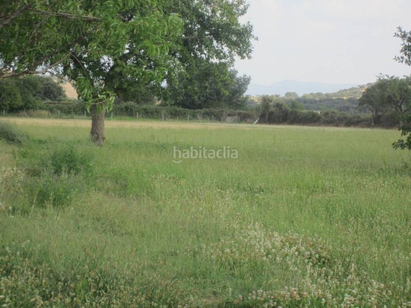 Foto 1e7ee515-3804-40bd-9383-dad9dfb67d0c. Rural plot in Ciudad Rodrigo