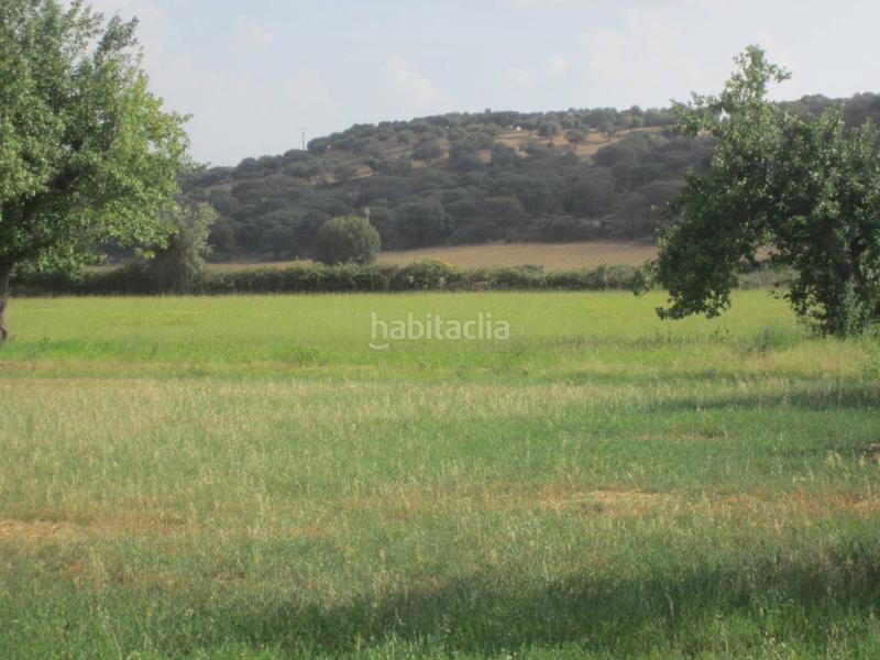 Foto 2a768ab0-b54d-4fa8-8f4c-97934e0f23c0. Rural plot in Ciudad Rodrigo