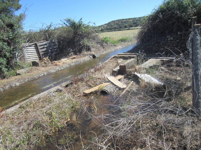 Foto 39cecb63-b088-4c93-a0e6-5d4edce58b39. Rural plot in Ciudad Rodrigo