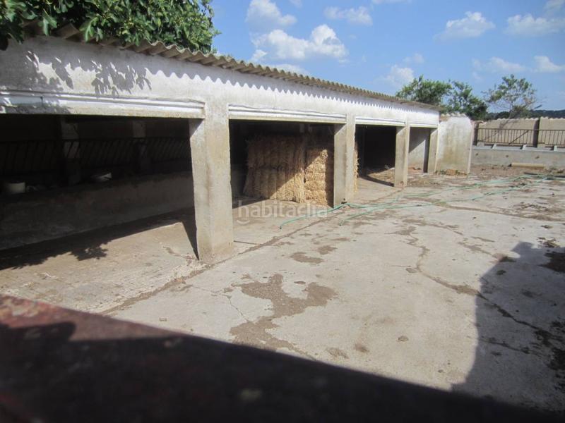 Foto 3dc9b7de-ac08-4cb7-9e60-ffedc965cc9e. Rural plot in Ciudad Rodrigo