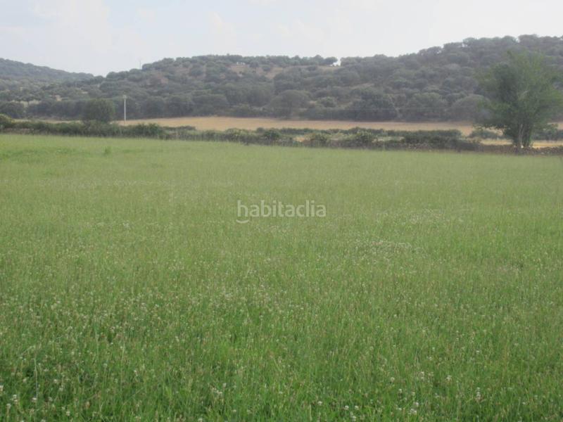 Foto 3e66586c-7398-4cd5-bf45-9dffcfd74eb8. Rural plot in Ciudad Rodrigo