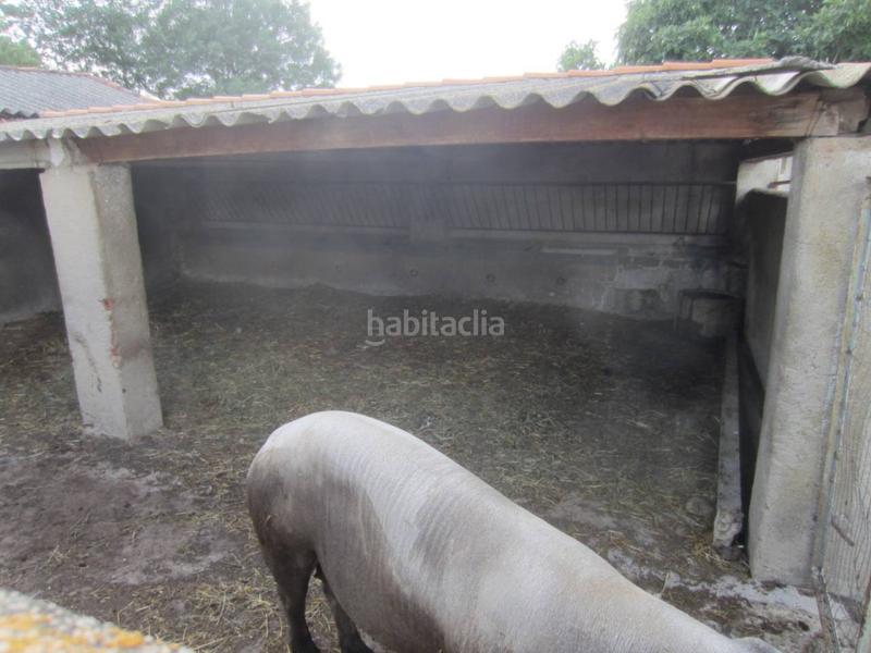 Foto 5e1d78fd-ed12-428e-8382-c6a5c58c32ee. Rural plot in Ciudad Rodrigo