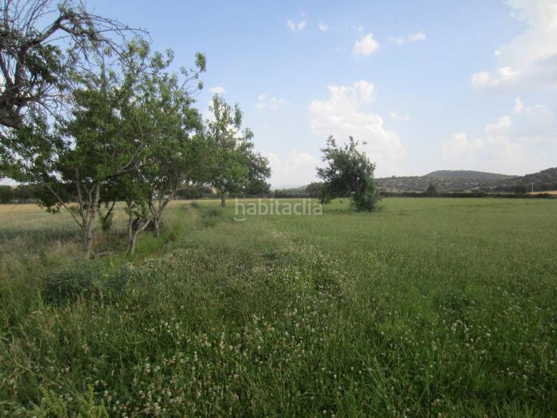 Foto 630cff2e-0110-4a14-995d-5779a68525a8. Rural plot in Ciudad Rodrigo