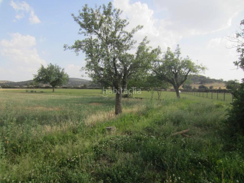 Foto 69fc7d57-53a3-4702-aea4-1160ff103677. Rural plot in Ciudad Rodrigo