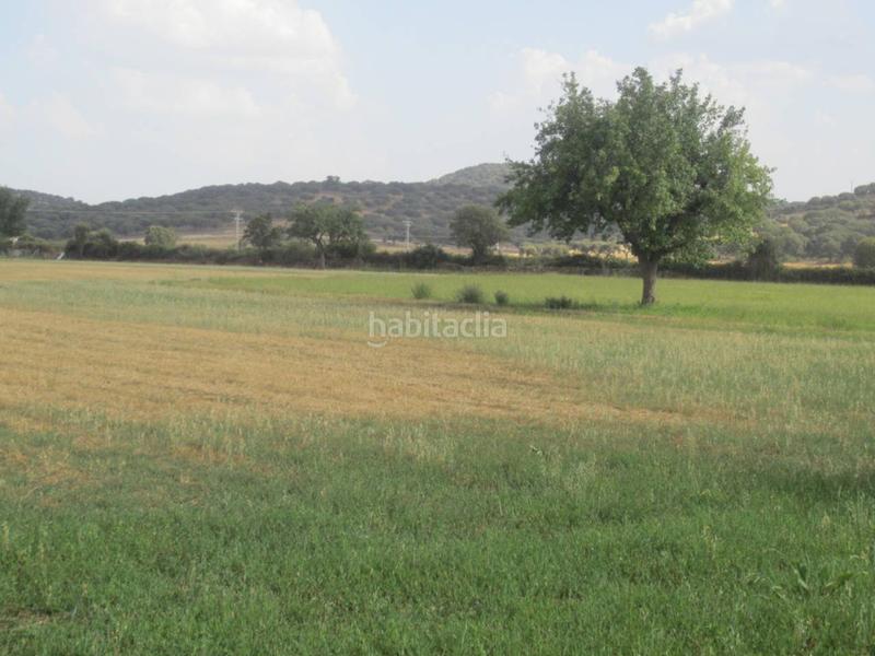 Foto 6a362be4-5cbe-42db-b7d2-835fa0a17aa4. Rural plot in Ciudad Rodrigo