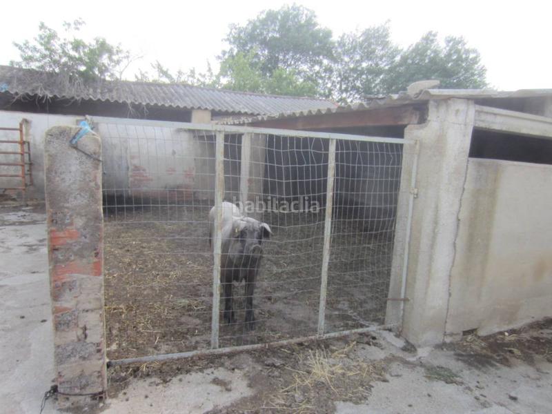 Foto 6ce2c1ac-cc61-467c-be1d-758328b20b1c. Rural plot in Ciudad Rodrigo