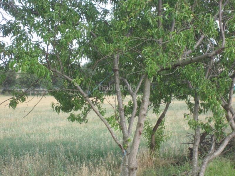 Foto 6fff80d7-d443-4e48-8f9a-90495d098d20. Rural plot in Ciudad Rodrigo