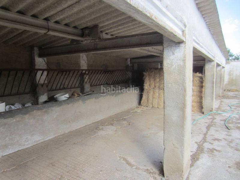 Foto 84510c62-c2bf-4d56-8701-12c40fc09ae4. Rural plot in Ciudad Rodrigo