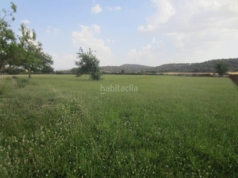 Foto 9ac5b970-2652-4f80-a333-68e6a0d2048a. Rural plot in Ciudad Rodrigo