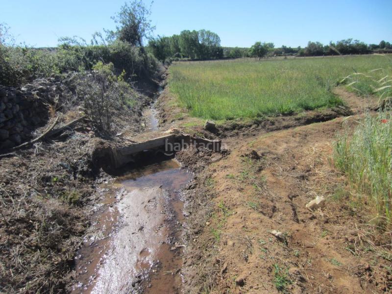 Foto be154dd3-124f-4d0c-ae21-8d4a4061d1c2. Rural plot in Ciudad Rodrigo