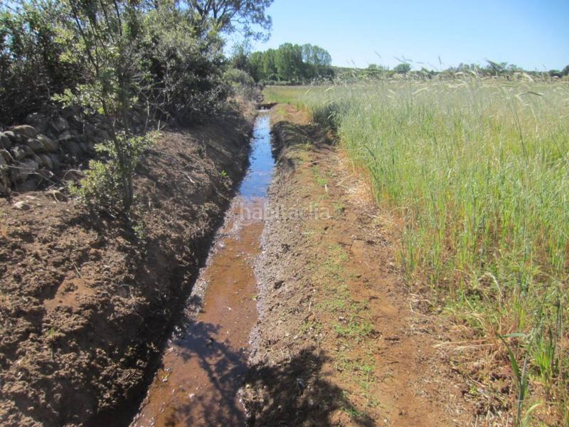 Foto d03587b9-7465-4c34-b1d9-069182e23bc9. Rural plot in Ciudad Rodrigo