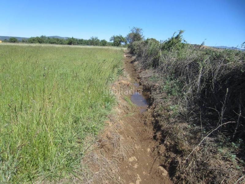 Foto d0efc162-8c5e-48d4-81a3-7da54d132aff. Rural plot in Ciudad Rodrigo