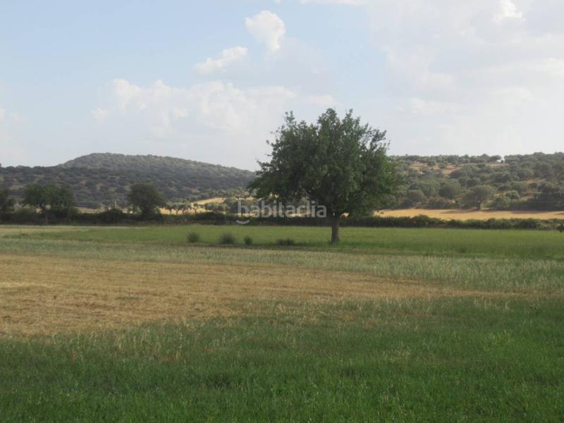 Foto d3537166-d8d2-43a1-9b4c-eae2580d6e57. Rural plot in Ciudad Rodrigo
