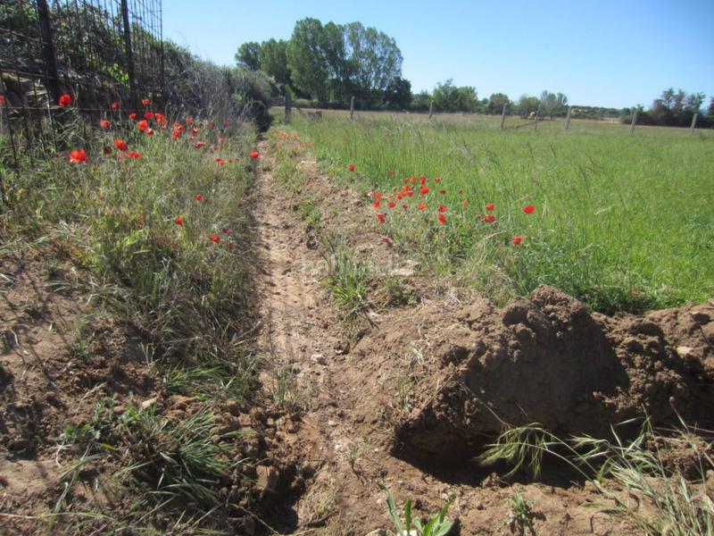Foto d5c7c573-e16f-4927-b132-378c0cf67d8c. Rural plot in Ciudad Rodrigo