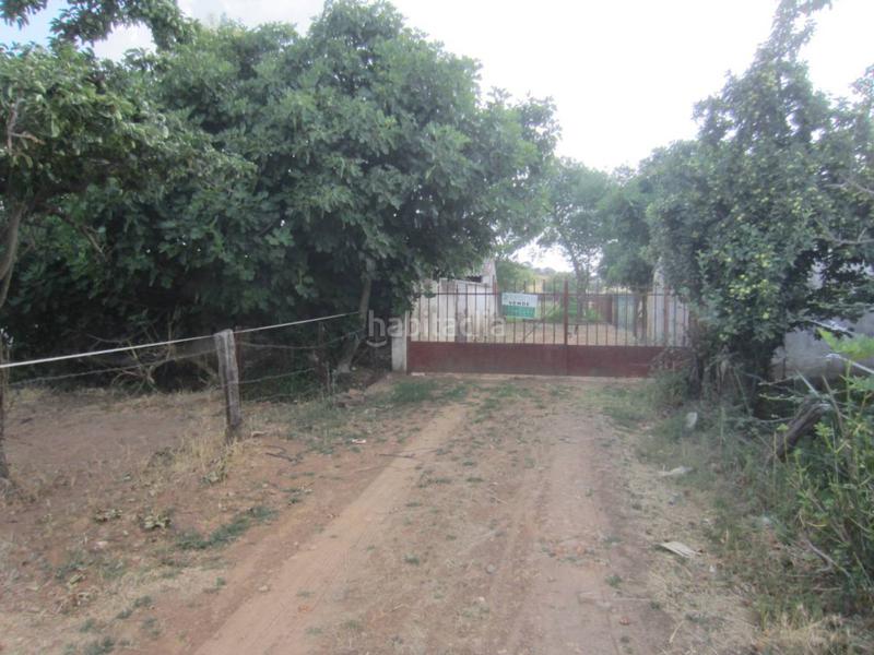 Foto e00f2f34-fb31-4216-8372-b2b9c1130d31. Rural plot in Ciudad Rodrigo