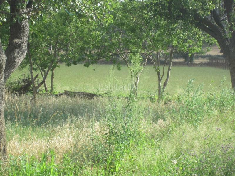 Foto e9b1e4be-06a2-48c9-b111-f2b0e2989cde. Rural plot in Ciudad Rodrigo