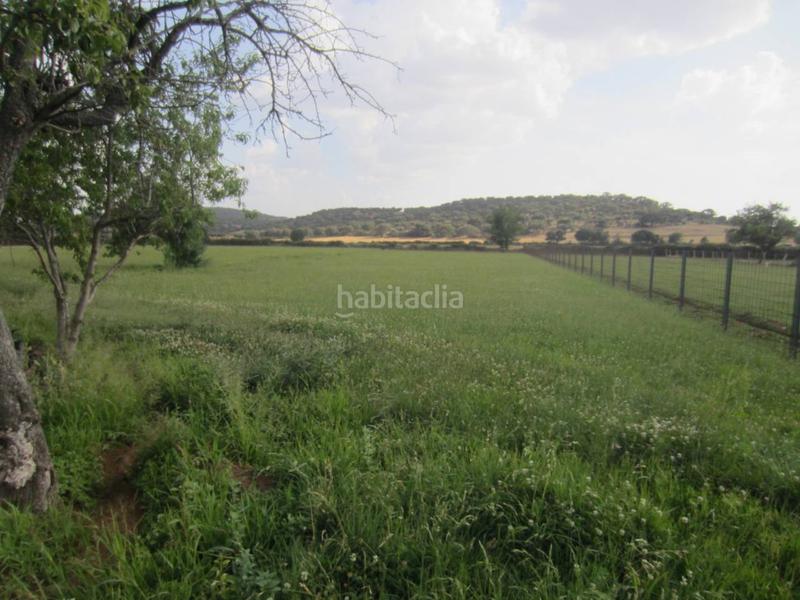Foto edd503ac-fe17-490f-bbcb-c234a82284f1. Rural plot in Ciudad Rodrigo