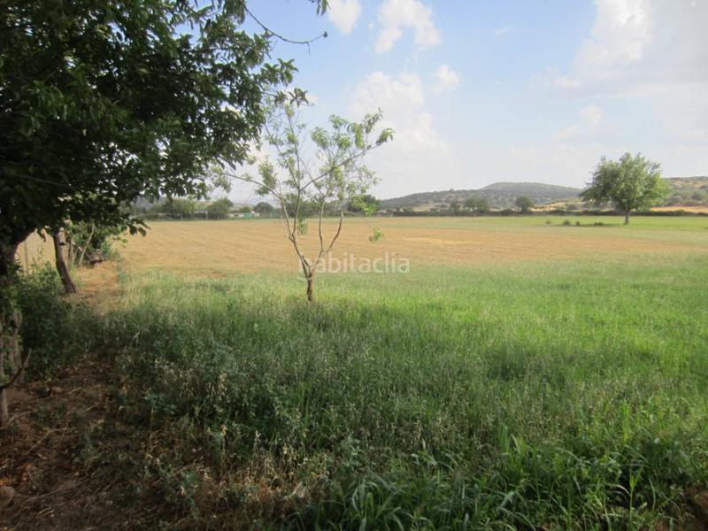 Foto edfc6536-0371-45cb-a6bb-73a67851df62. Rural plot in Ciudad Rodrigo