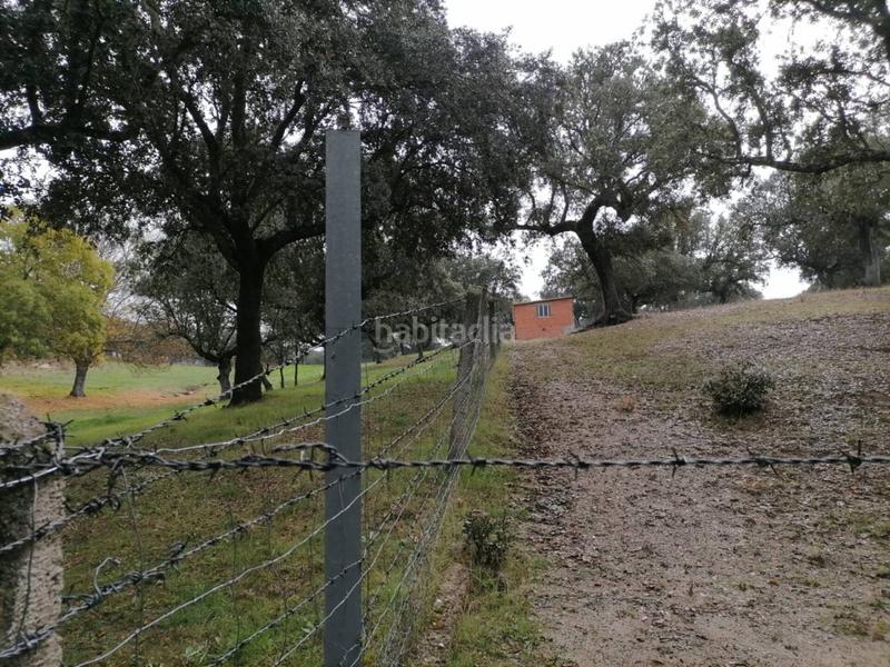 Foto 02d77463-2d64-4bd1-8aa2-f127a1bc8601. Rural plot in Alameda de Gardón (La)