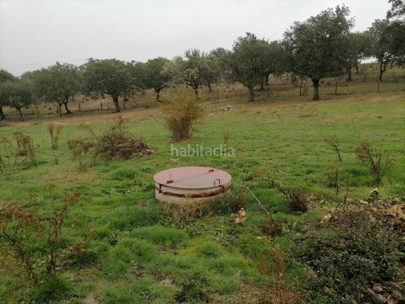 Foto 063127ea-9248-4362-9746-cd37887c158c. Rural plot in Alameda de Gardón (La)