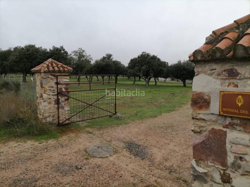 Foto 0711dcfd-9dda-45aa-8f16-f77516b8bbcb. Rural plot in Alameda de Gardón (La)