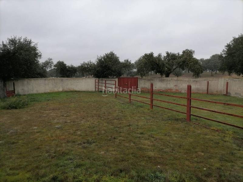Foto 0f9be83b-1ec5-44db-bf8f-ae5aa4dd6cd4. Rural plot in Alameda de Gardón (La)