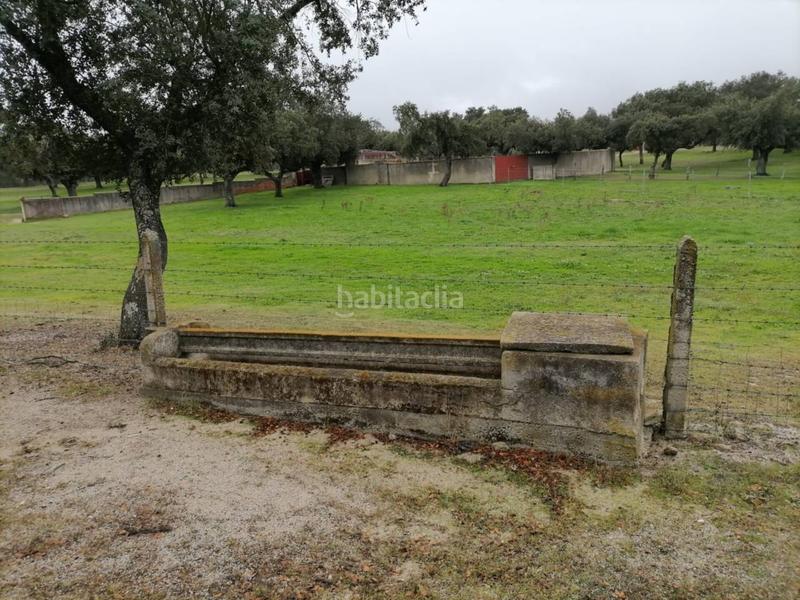 Foto 1914dbff-c658-46a9-89e4-906f953ae47e. Rural plot in Alameda de Gardón (La)