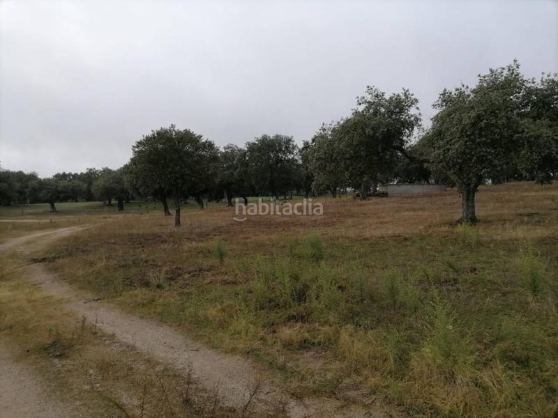 Foto 1e566da1-d715-47a9-802e-c789b6167224. Rural plot in Alameda de Gardón (La)