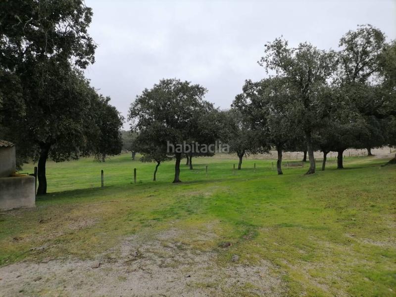 Foto 2257dbef-357d-4639-954f-162cd94312c1. Rural plot in Alameda de Gardón (La)