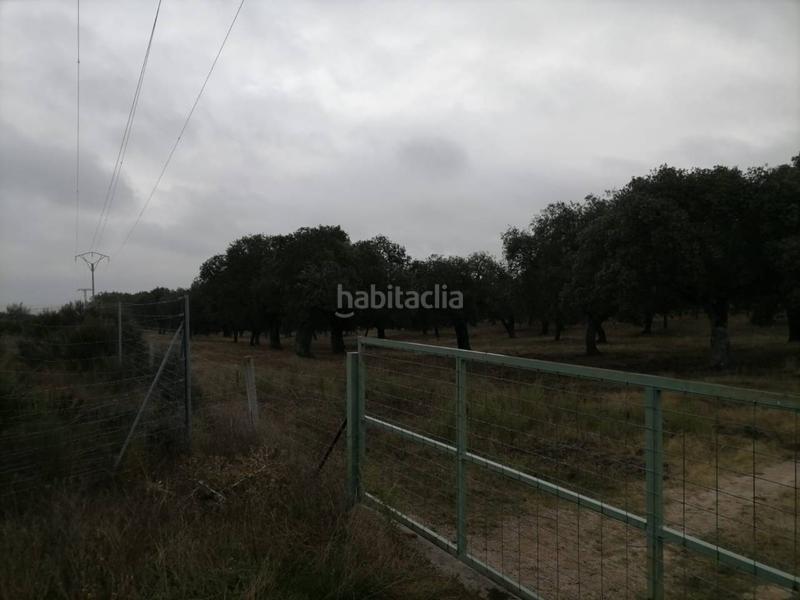 Foto 23f014e6-9b8f-4380-b91c-cfd3e785be27. Rural plot in Alameda de Gardón (La)