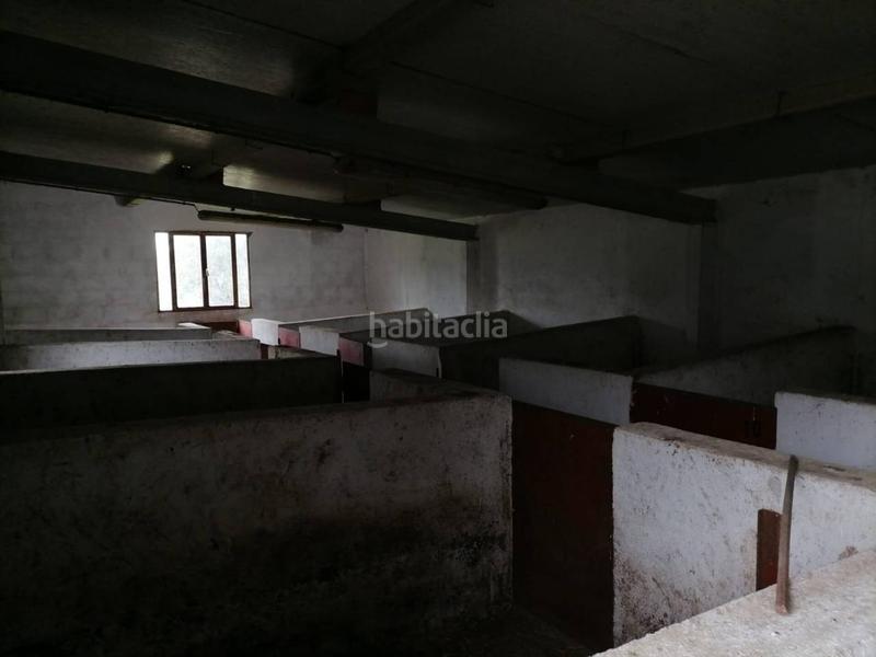 Foto 3822de34-3a98-4668-a345-7c922e90ae17. Rural plot in Alameda de Gardón (La)