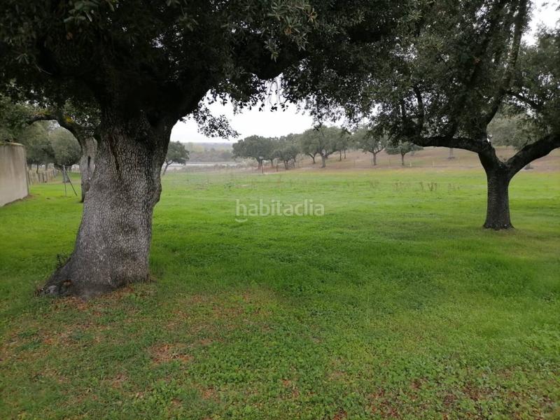 Foto 3b0bff3c-22cd-4bda-a047-d9f99db28e57. Rural plot in Alameda de Gardón (La)