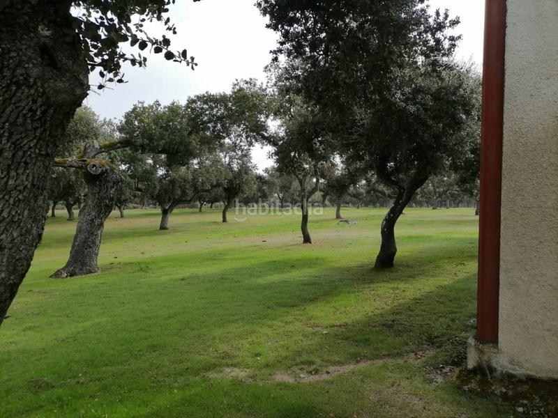 Foto 3faf5dc6-a215-4f64-a11e-b55c4a25f476. Rural plot in Alameda de Gardón (La)